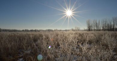 Météo du samedi : journée froide, mais ensoleillée.