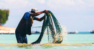 Nabeul : menace sur les ressources halieutiques par non-respect du repos biologique