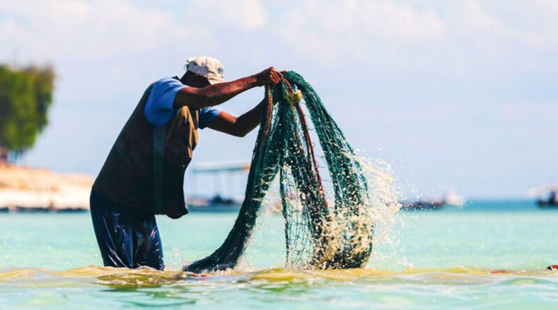 Nabeul : menace sur les ressources halieutiques par non-respect du repos biologique
