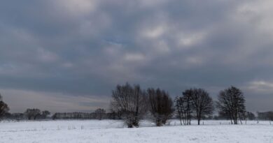 Neige et pluies verglaçantes : la Belgique traverse un hiver rigoureux