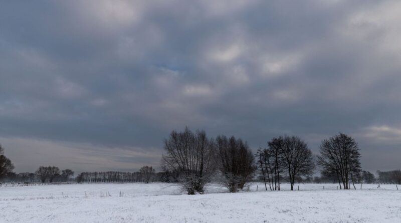 Neige et pluies verglaçantes : la Belgique traverse un hiver rigoureux