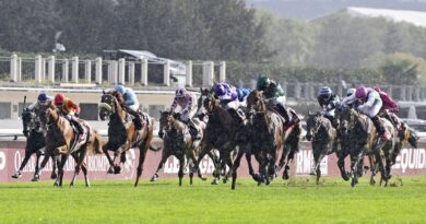 Oise : Entraîneur soupçonné d'avoir dopé ses chevaux, interpellé