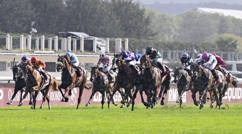 Oise : Entraîneur soupçonné d'avoir dopé ses chevaux, interpellé