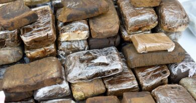 Opération anti-drogue à Bruxelles : 15 arrêtés et 7 inculpés.