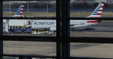 Panique à bord : émanation suspecte force un avion à atterrir en urgence