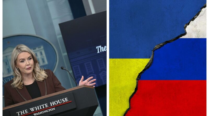 Plan de paix américain pour l'Ukraine : la Maison-Blanche estime qu'il est "bon".