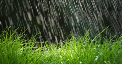 Pluies des dernières 24 heures : Tabarka en tête avec 72 mm