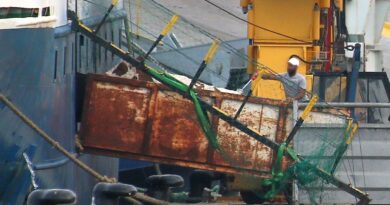 Près de 3.000 vaches errent en mer au large de la Turquie.