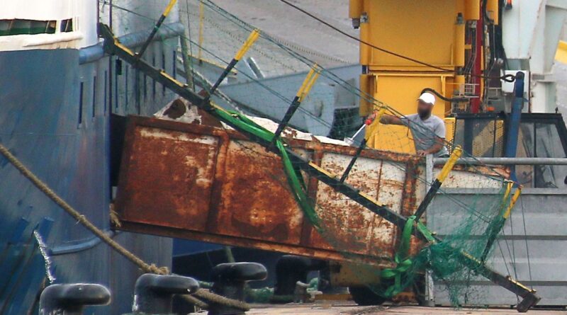 Près de 3.000 vaches errent en mer au large de la Turquie.