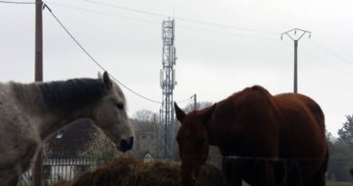 Qui a le meilleur réseau mobile en France en 2025 ?