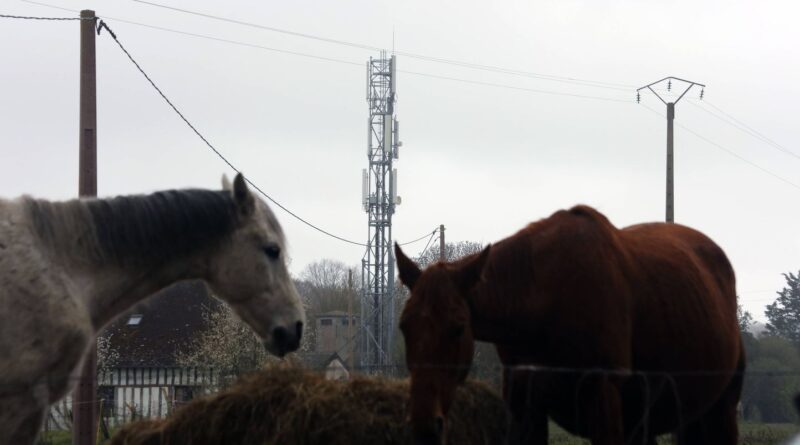 Qui a le meilleur réseau mobile en France en 2025 ?