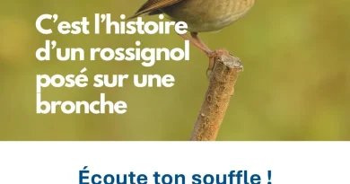 Santé : l'Hôpital Universitaire de Bruxelles demande un dépistage officiel du cancer du poumon