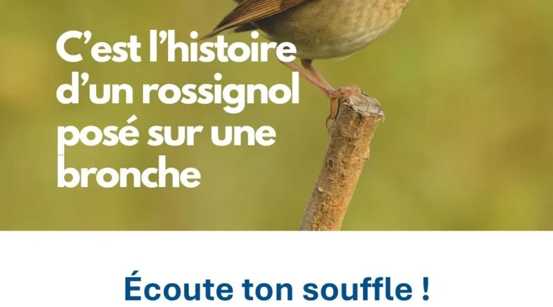 Santé : l'Hôpital Universitaire de Bruxelles demande un dépistage officiel du cancer du poumon