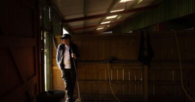 Santé mentale : 75 % des agriculteurs wallons en détresse, UCLouvain