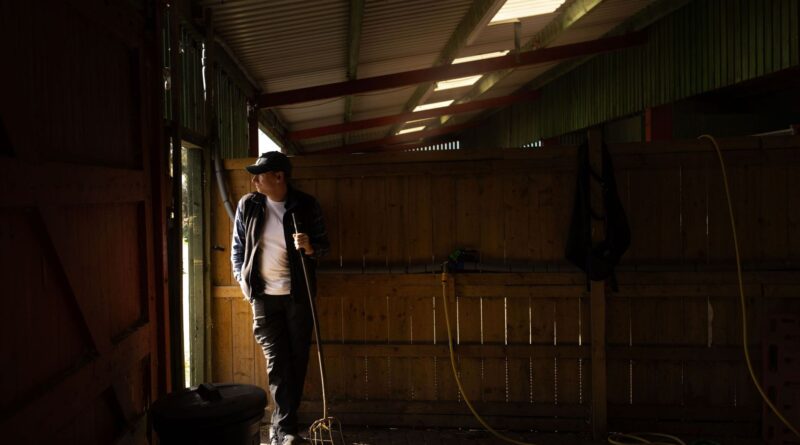 Santé mentale : 75 % des agriculteurs wallons en détresse, UCLouvain