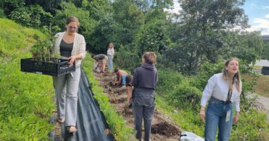 Serious Game for Sustainability : le jeu comme levier de conscience et d’action