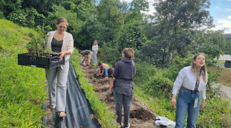 Serious Game for Sustainability : le jeu comme levier de conscience et d’action