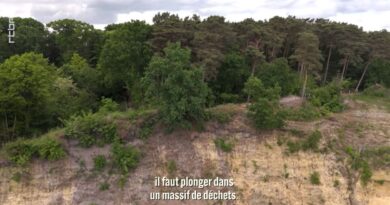 Sous les bosquets, la crasse : dépotoirs en Wallonie et Bruxelles ?