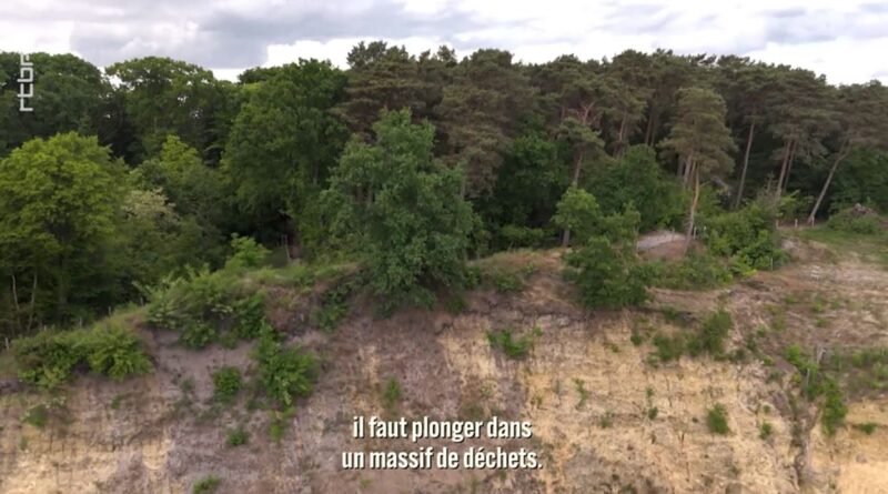 Sous les bosquets, la crasse : dépotoirs en Wallonie et Bruxelles ?