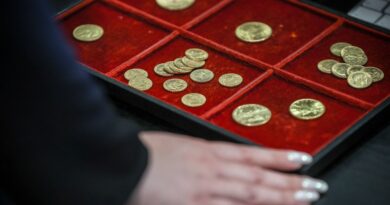 Suisse : Braqueurs ne laissent pas le gardien de musée tranquille, volent des pièces d'or