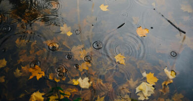 Temps partiellement nuageux, rafales atteignant 60 km/h cette nuit