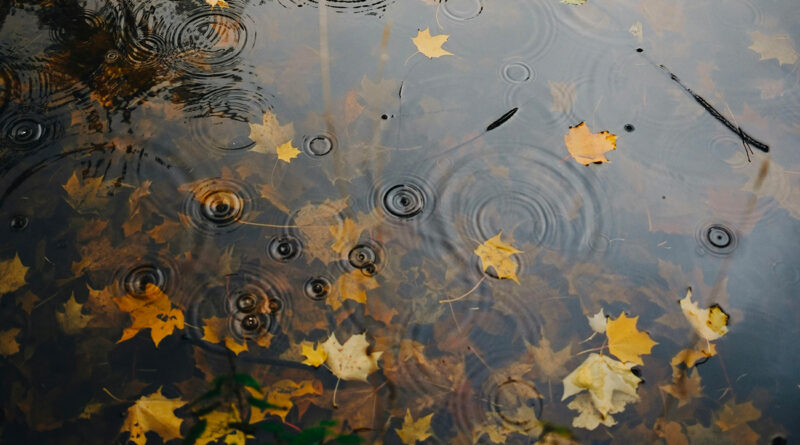 Temps partiellement nuageux, rafales atteignant 60 km/h cette nuit