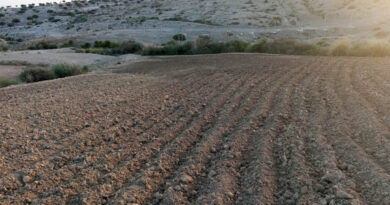 Terres agricoles : simplification de l’aménagement foncier et du financement