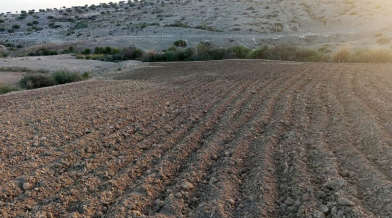 Terres agricoles : simplification de l’aménagement foncier et du financement