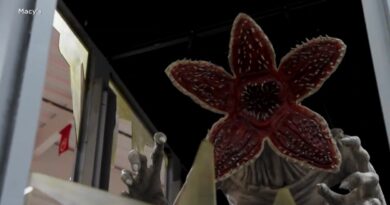 Thanksgiving 2025 : gratitude au cœur de la polarisation politique américaine