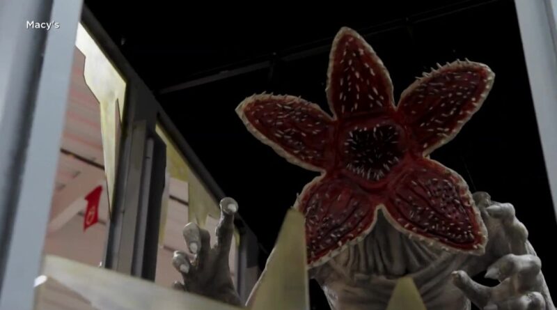 Thanksgiving 2025 : gratitude au cœur de la polarisation politique américaine