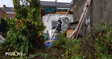 Wallovert : une arnaque à grande échelle avec menaces de mort