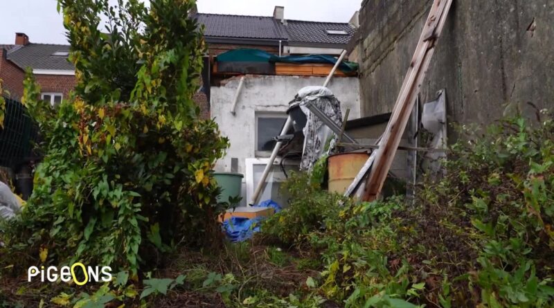 Wallovert : une arnaque à grande échelle avec menaces de mort