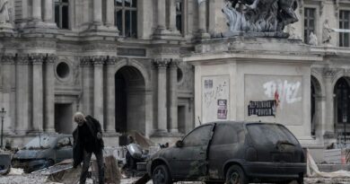 Zombies Mania : L'engouement jamais vu pour les zombies au cinéma.