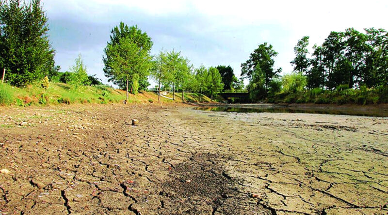 Agriculture : La Tunisie ne peut pas ignorer le spectre hydrique persistant