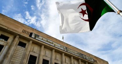 Algérie : Le parlement ne adopte pas à l'unanimité une loi contre la colonisation française