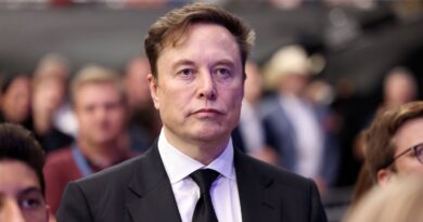 Après l'amende contre X, Musk déclare que « l'UE devrait être abolie »