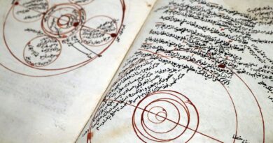 Aubergine, jupe, algèbre : les mots français d'origine arabe.