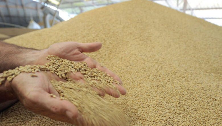 Baisse des prix mondiaux des produits alimentaires en novembre.