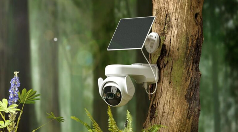 Bizerte : D’ici 2026, caméras pour infractions environnementales généralisées