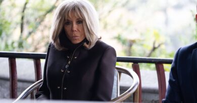 Brigitte Macron et les « sales connes » : bourde de l'agence Mimi Marchand.