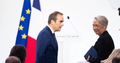 Budget : Borne demande à Lecornu de prendre ses « responsabilités » avec le 49.3