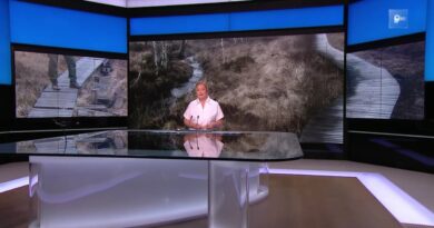 Caillebotis dégradés suite au passage de quads à Malchamps.