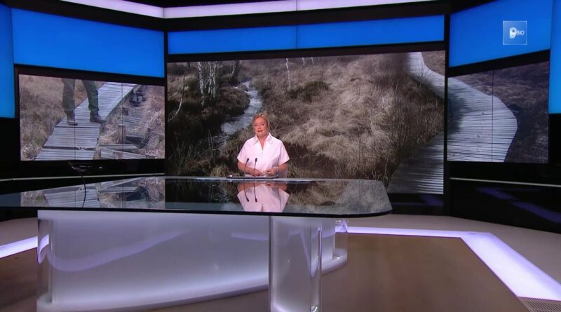 Caillebotis dégradés suite au passage de quads à Malchamps.