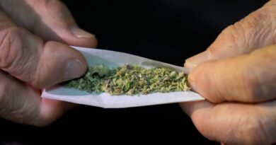 Cannabis, cocaïne, ecstasy : quelle drogue se vend le plus en France ?