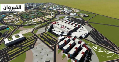 Ce que l'on sait sur l'hôpital universitaire Roi Salman Ibn Abdelaziz.