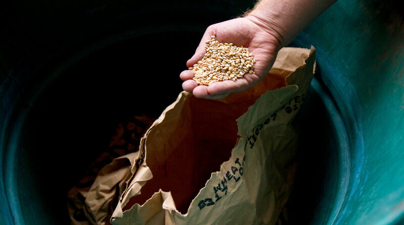 Céréales 2025-2026 : Le manque de semences ne brise pas le silence !