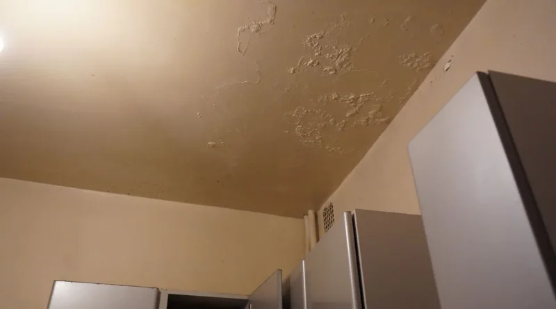 Charleroi : un rapport dénonce des logements malades et une action publique maltraitante