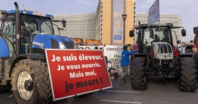 Colère du monde agricole : tracteurs de retour à Bruxelles, axes et tunnels fermés