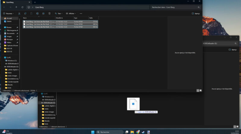 Comment télécharger un e-book sur votre liseuse ?