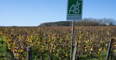 Consentement et lutte contre le cancer : cinq bonnes nouvelles en 2025